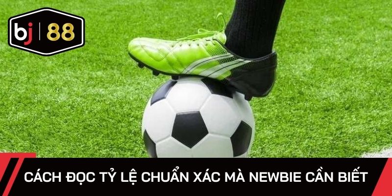 Cách đọc tỷ lệ chuẩn xác mà newbie cần biết