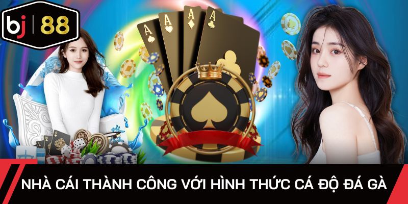 Nhà cái thành công với hình thức cá độ đá gà